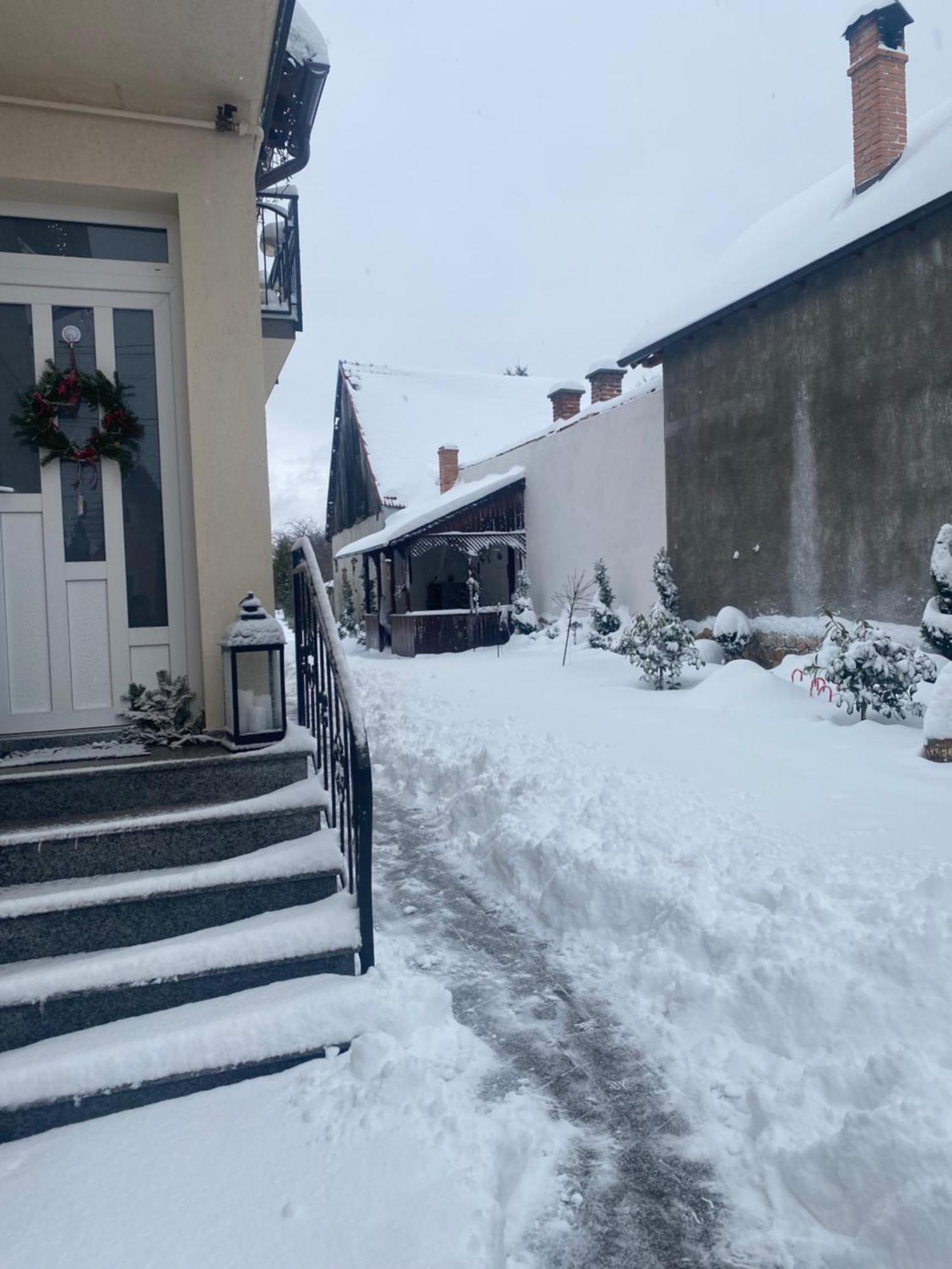Отель Casa Leny Tohanu Nou Экстерьер фото